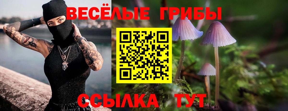 Псилоцибиновые грибы GOLDEN TEACHER Когалым